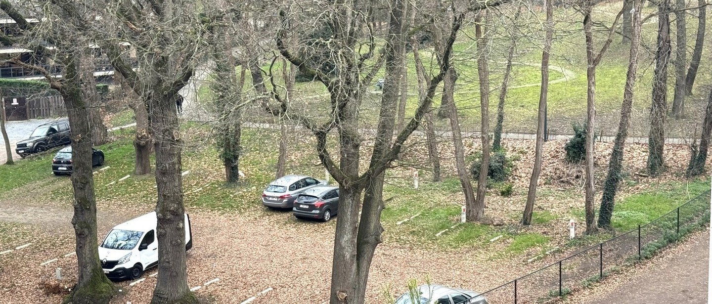 Appartement te huur in Genk