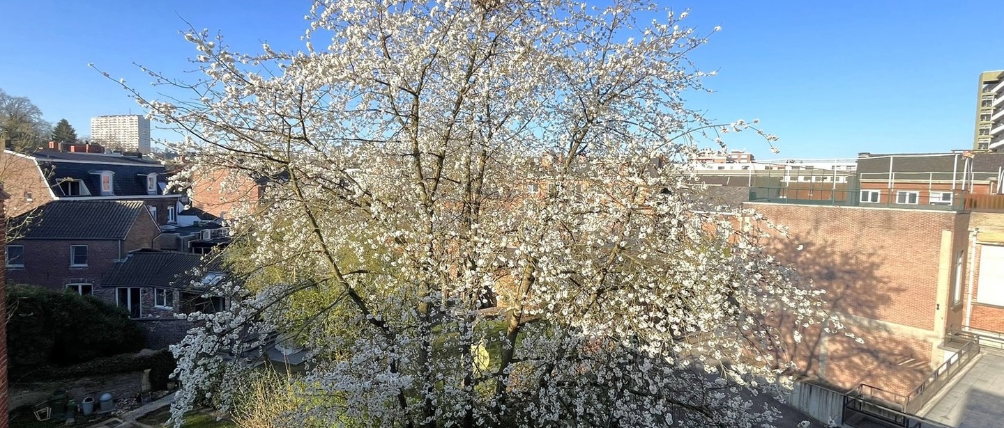 Appartement te huur in Genk