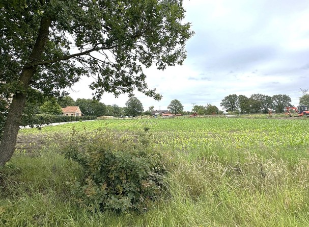 Bouwgrond te koop in Balen