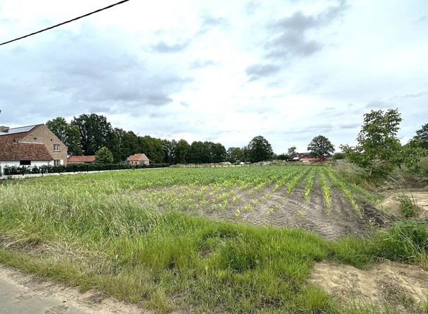 Bouwgrond te koop in Balen