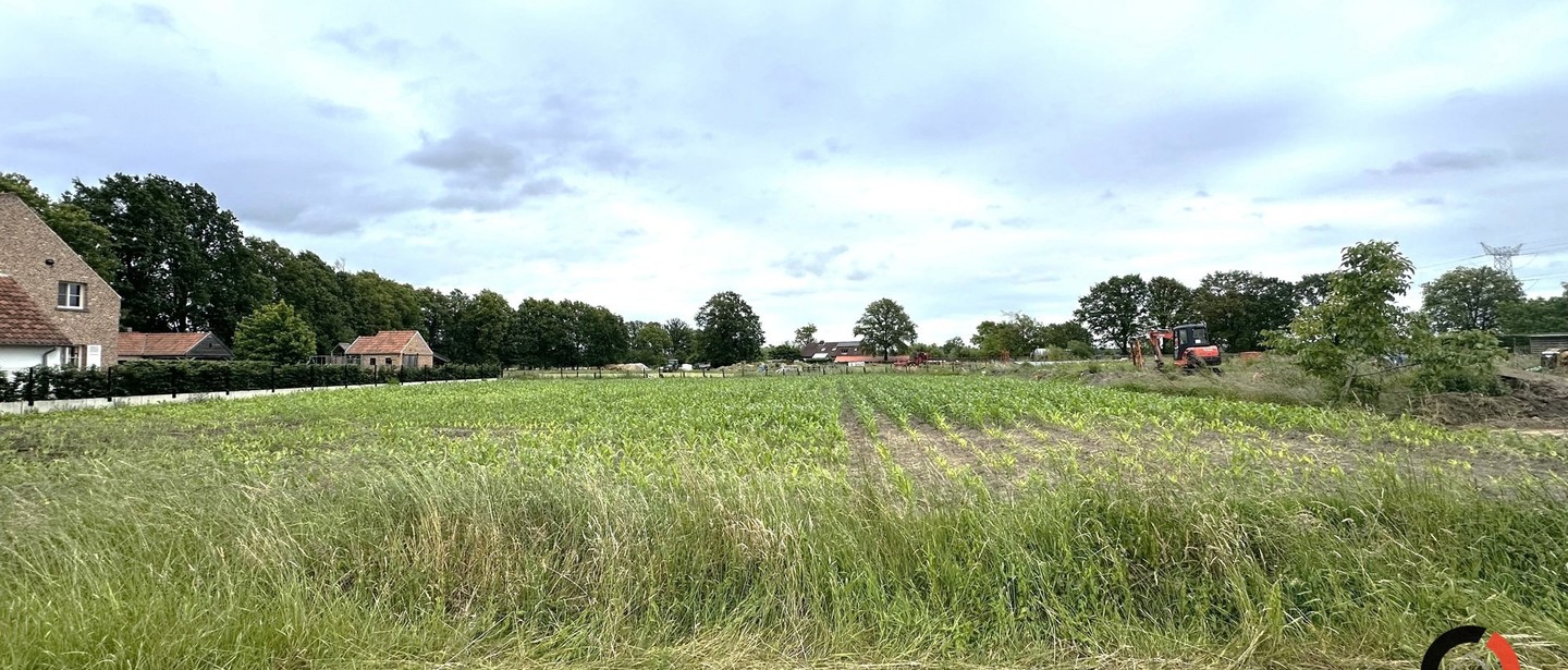 Bouwgrond te koop in Balen