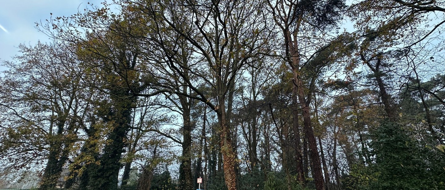 Bouwgrond te koop in Beringen