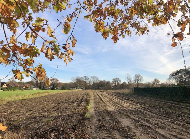 Bouwgrond te koop in Leopoldsburg