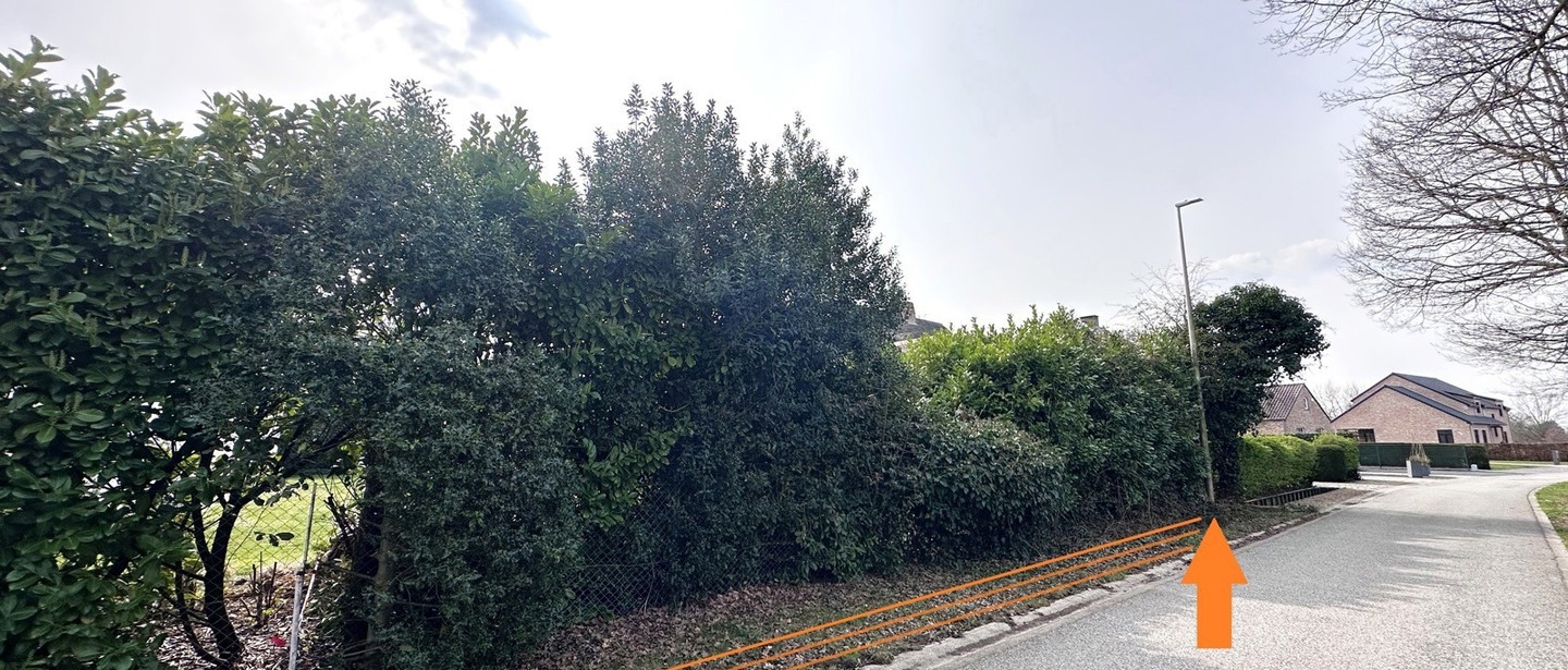 Bouwgrond te koop in Tessenderlo