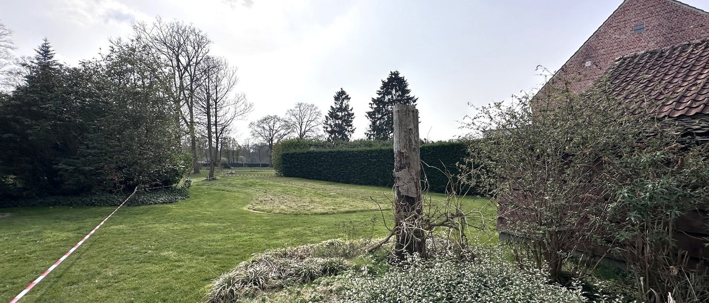 Bouwgrond te koop in Tessenderlo