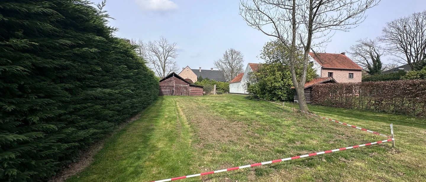 Bouwgrond te koop in Tessenderlo