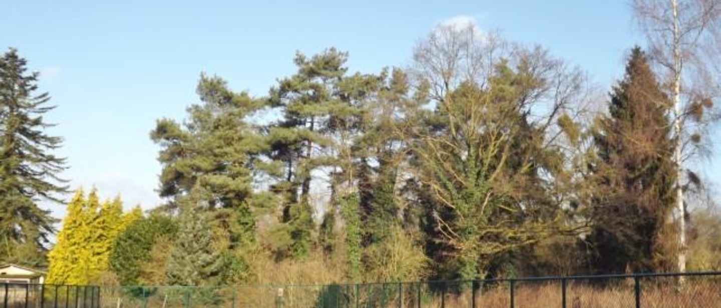 Huis te huur in Bilzen