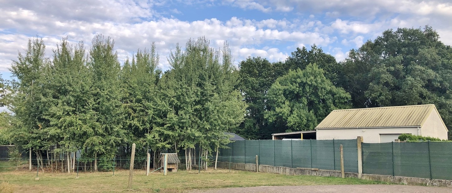 Huis te koop in Paal