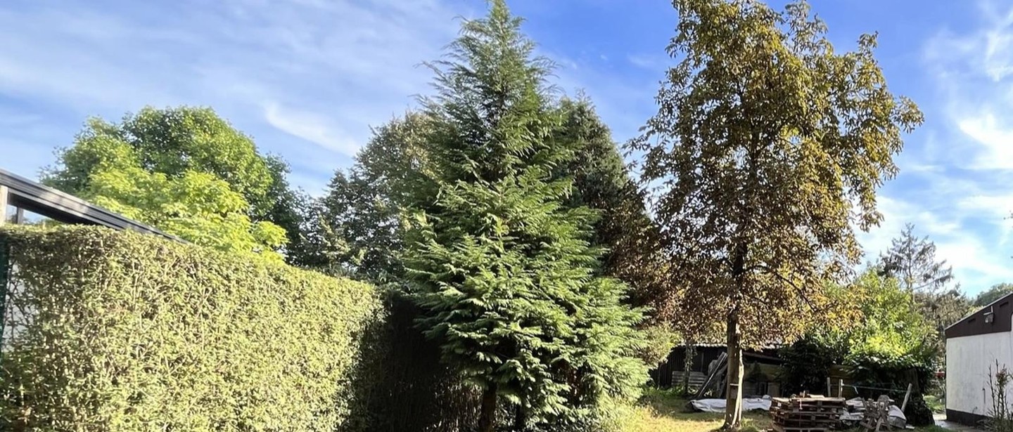 Huis te koop in Tessenderlo